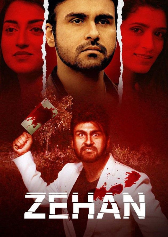 Zehan (2024) Hindi 480p HDRip x264 AAC ESubs Full Bollywood Movie [350MB] Full Movie Download